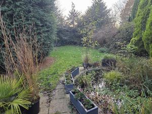 Photo 21- click for photo gallery